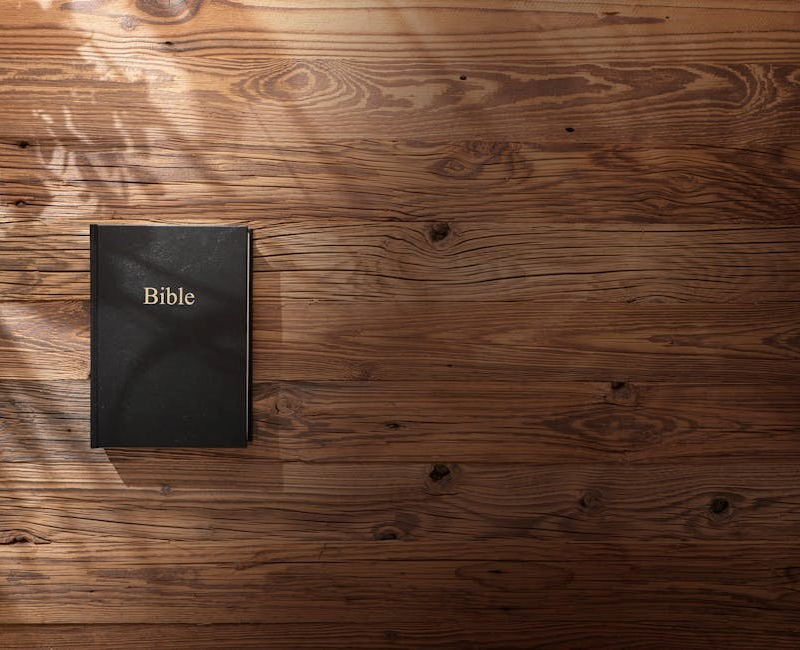 discover bible study guides pdf